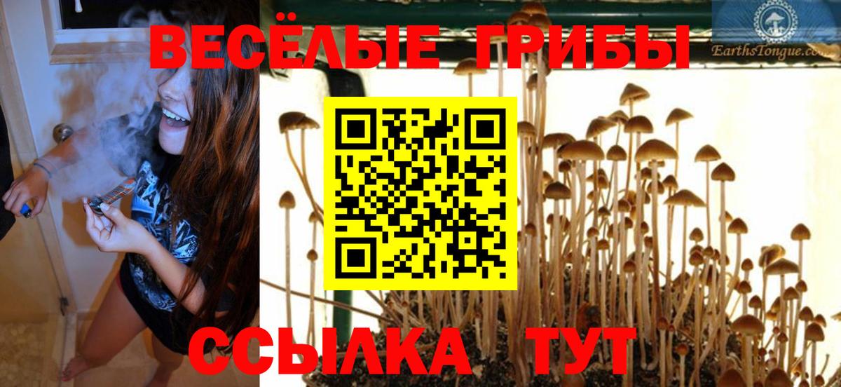 Галлюциногенные грибы мицелий  что такое наркотик  Ишимбай  Вход с VPN 