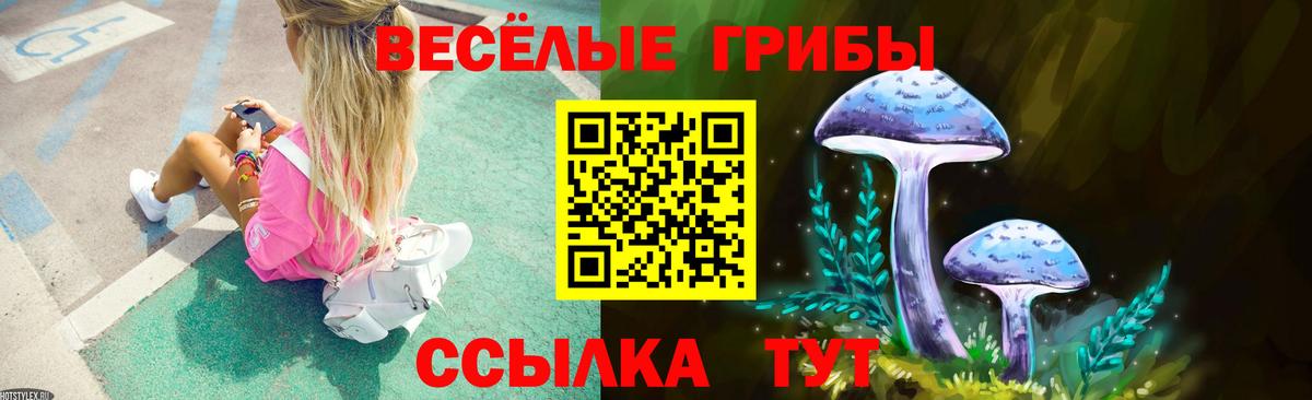 Псилоцибиновые грибы Psilocybe Ишимбай